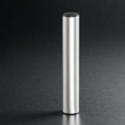 Straight guide pillar, cylindrical, no shoulder, 100Cr6 (1.3505)
